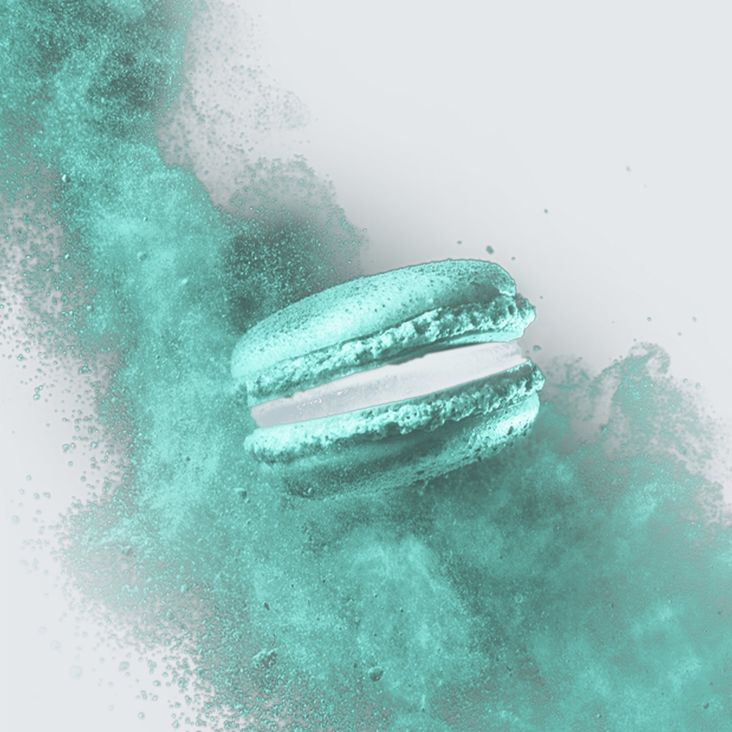 Macaron Cocco