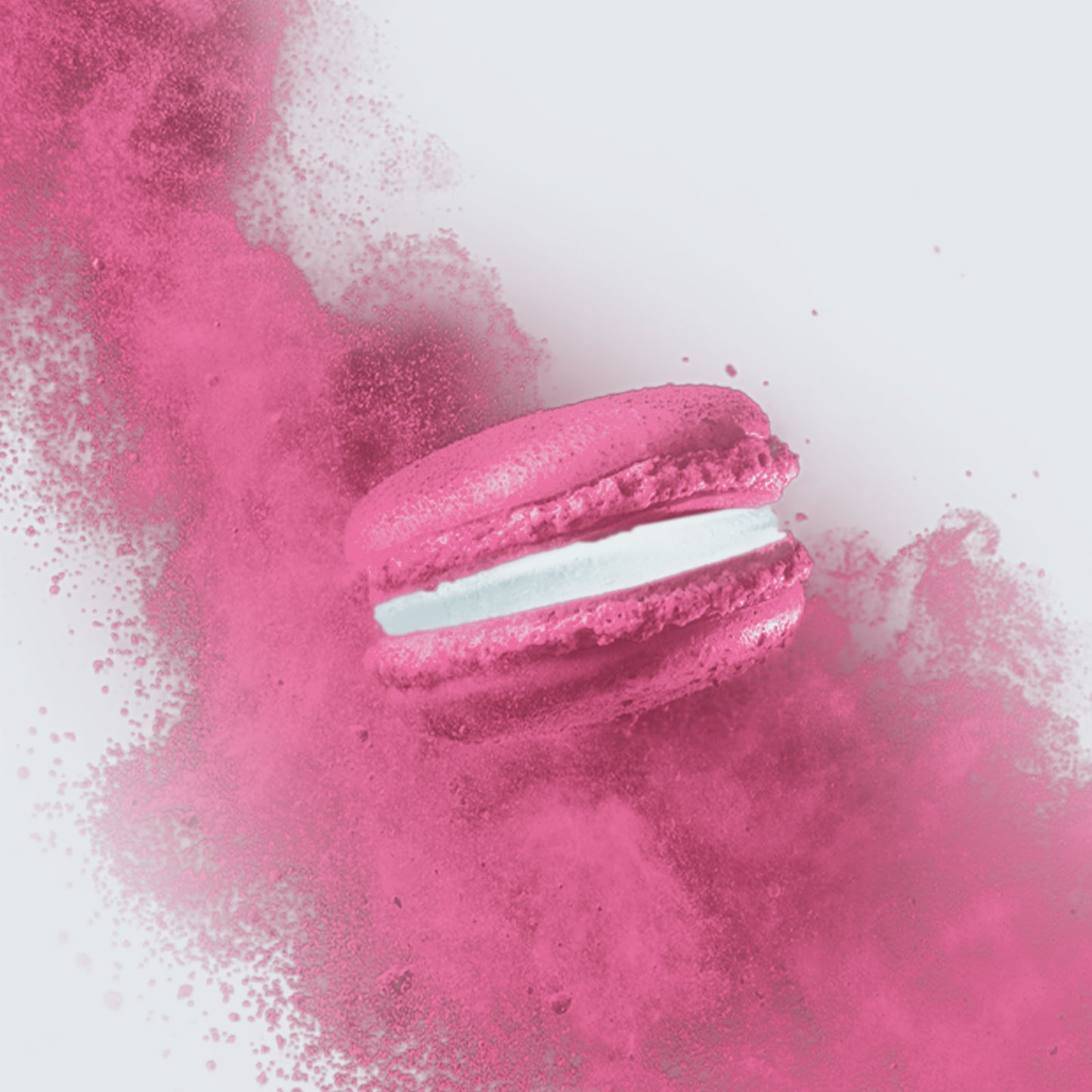 Macaron Lampone Artico