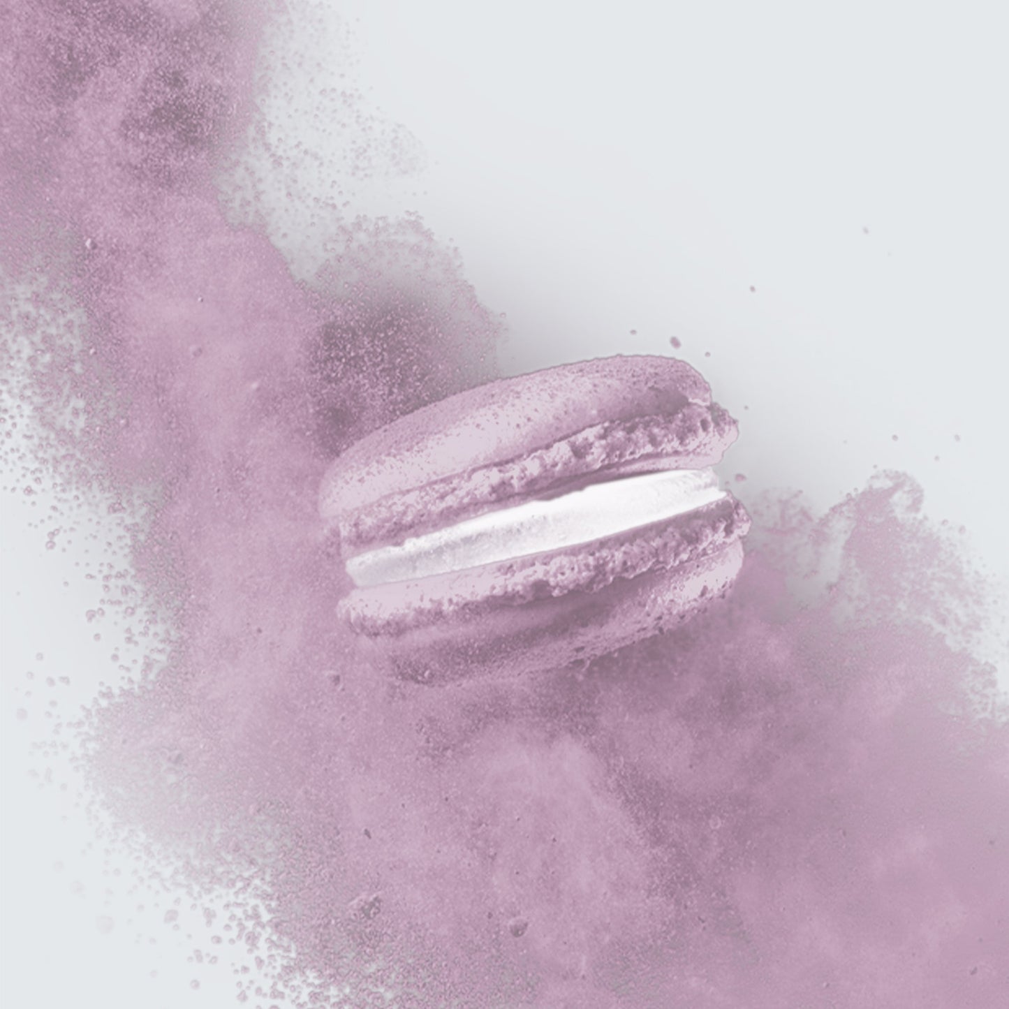 Macaron Mirtillo